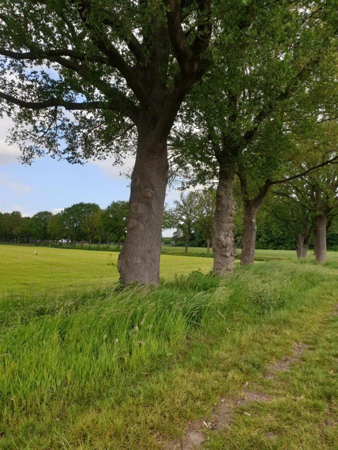 B&B Het Gelders Buitenleven Overasselt Extérieur photo