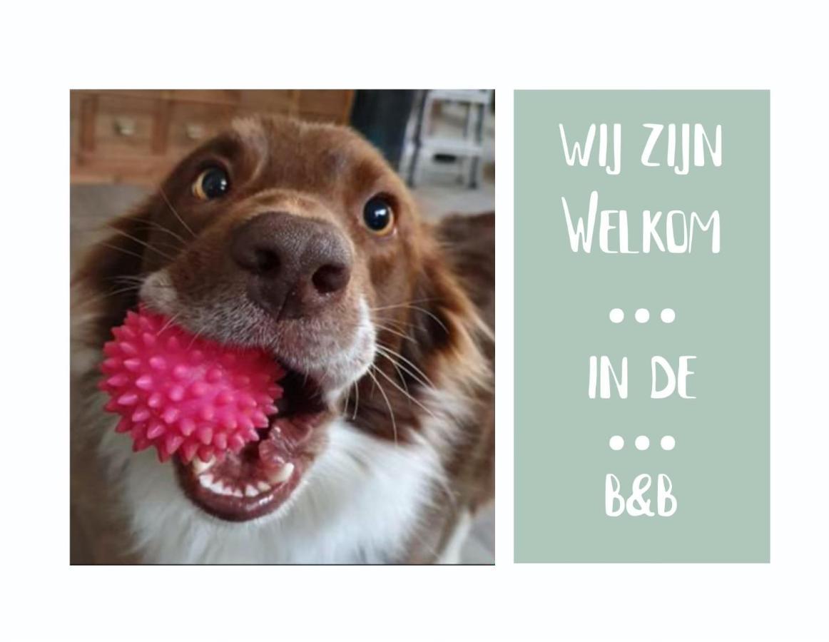 B&B Het Gelders Buitenleven Overasselt Extérieur photo